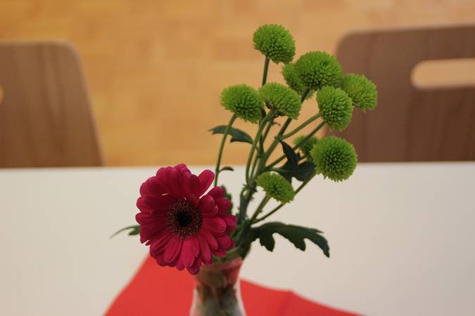 Evangelisches Gemeindehaus Gutach Tischdekoration Blumenvase mit roter Gerbera und grünen Kletten